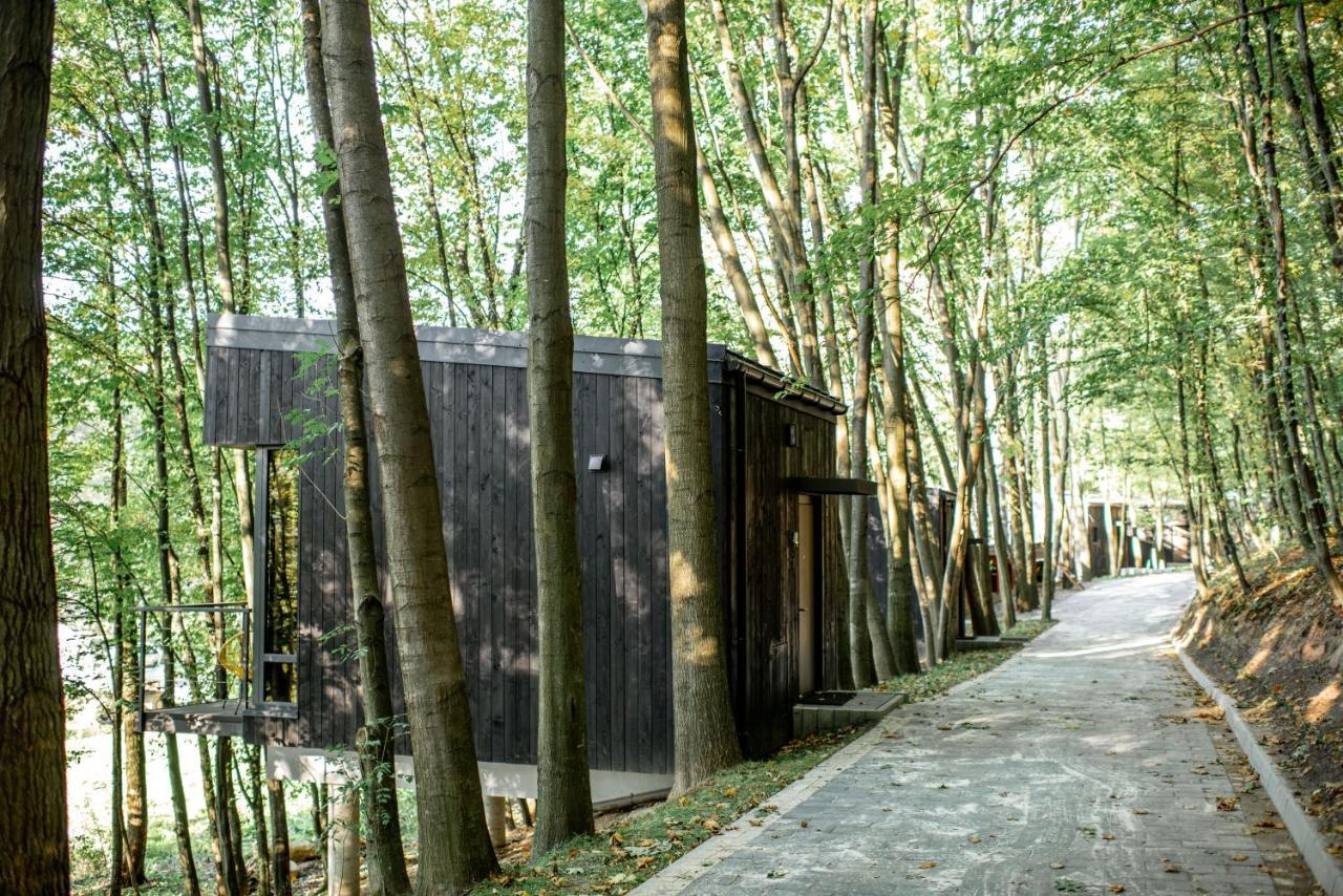 Buhta Vikingiv Hotel Vodniki Exterior photo